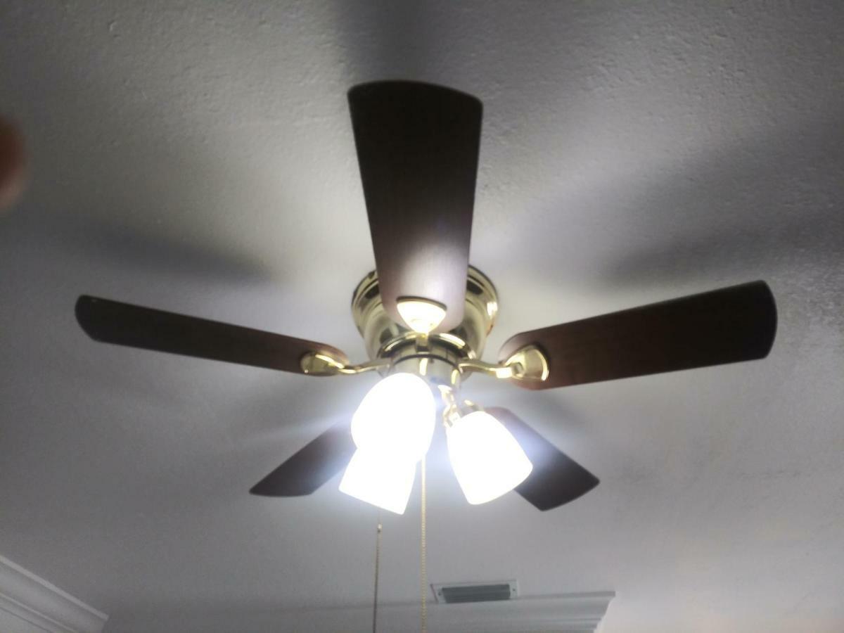 Tampa Citrus Park Apartment ภายนอก รูปภาพ