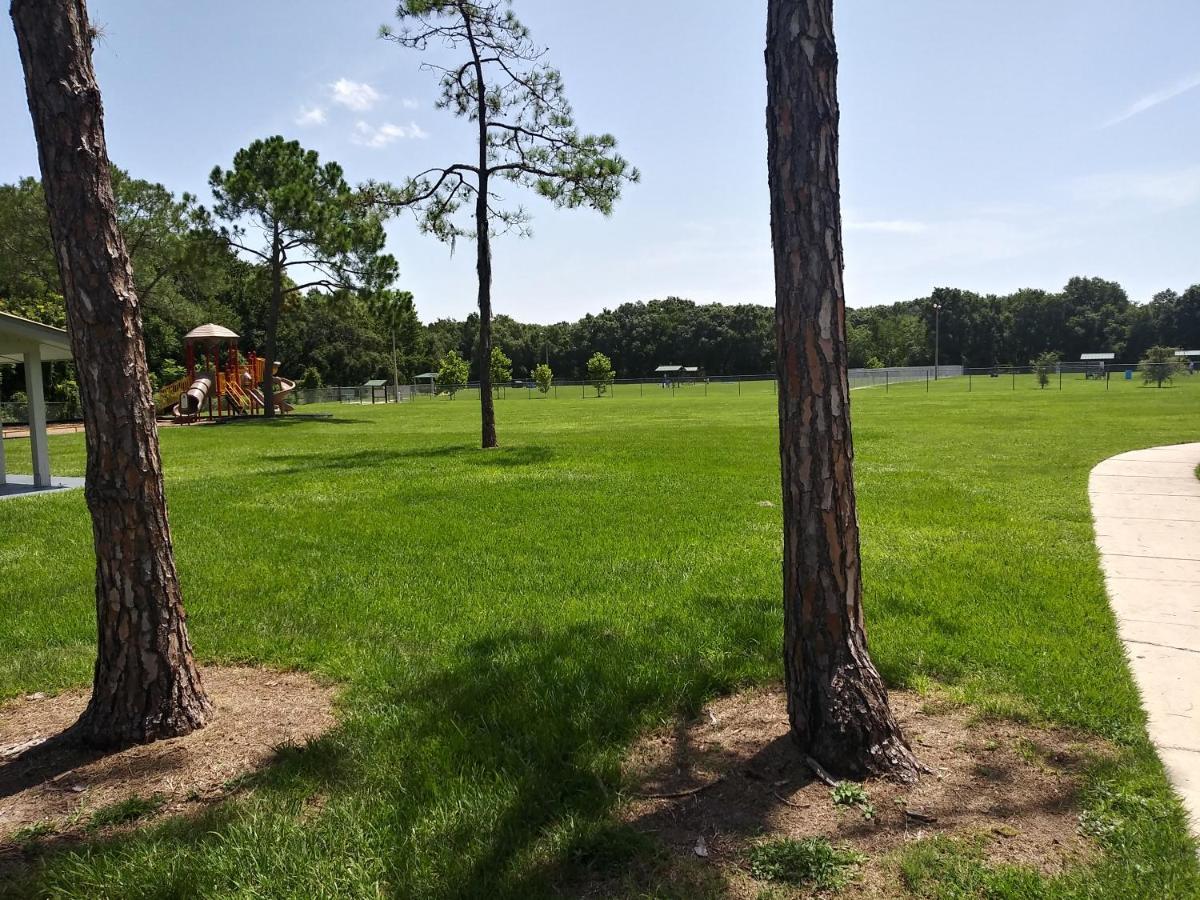 Tampa Citrus Park Apartment ภายนอก รูปภาพ