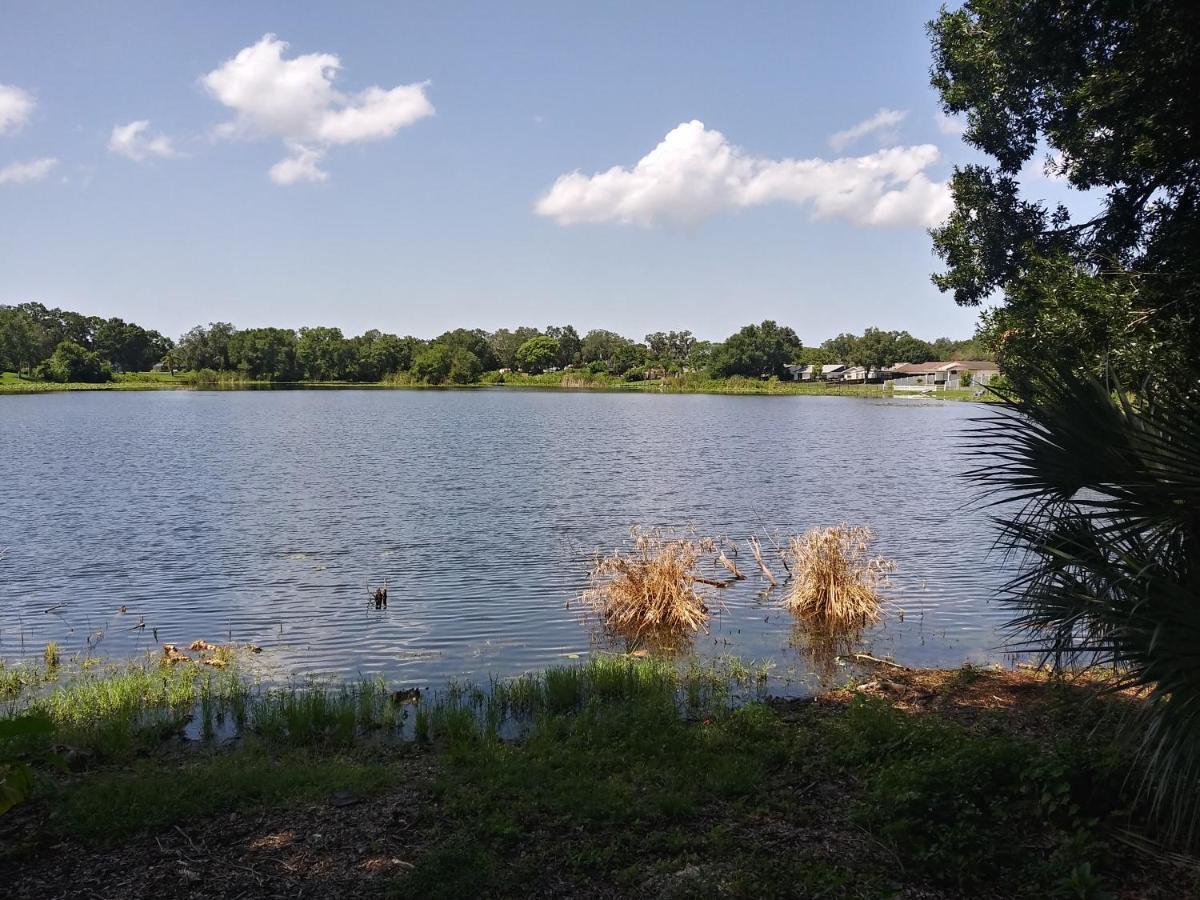 Tampa Citrus Park Apartment ภายนอก รูปภาพ